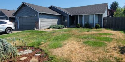 Mitzi House - After