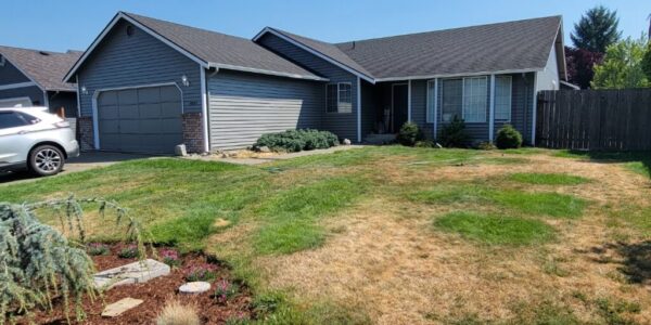 Mitzi House - After
