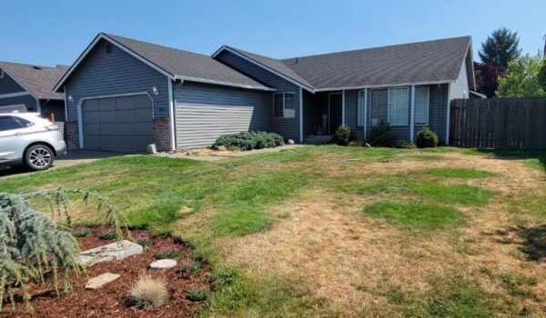 Mitzi House - After